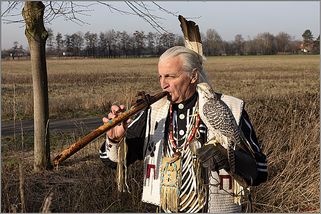 Cheyenne-Halbblut Hunting Wolf in der Falknerei Pierre Schmidt; Gymnich, 09.02.2023